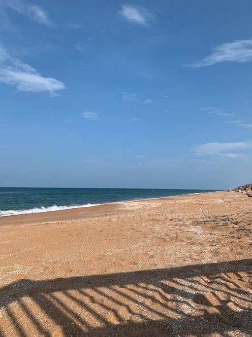 Ormond Beach, Fun & Loving Sun! Luaran gambar